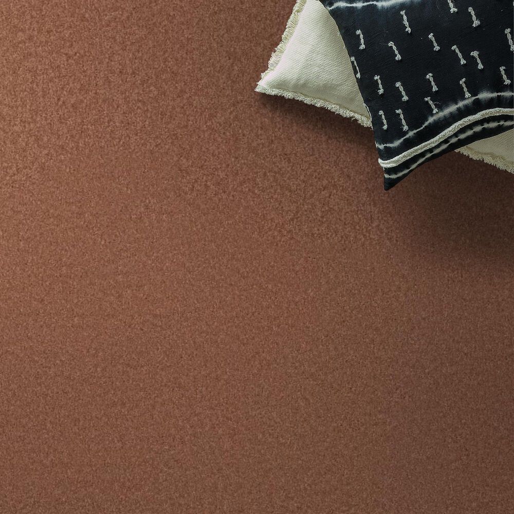 Anderson Tuftex Enchanting Carpet in Clay, , large