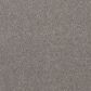 Shaw Mixed Essentials Carpet in Silver Quartz, , large