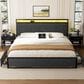HOMLUX King 2-Drawer Storage Bed with LED Headboard and USB Ports in Gray, , large