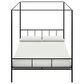 Novogratz Marion Queen Canopy Bed in Black, , large