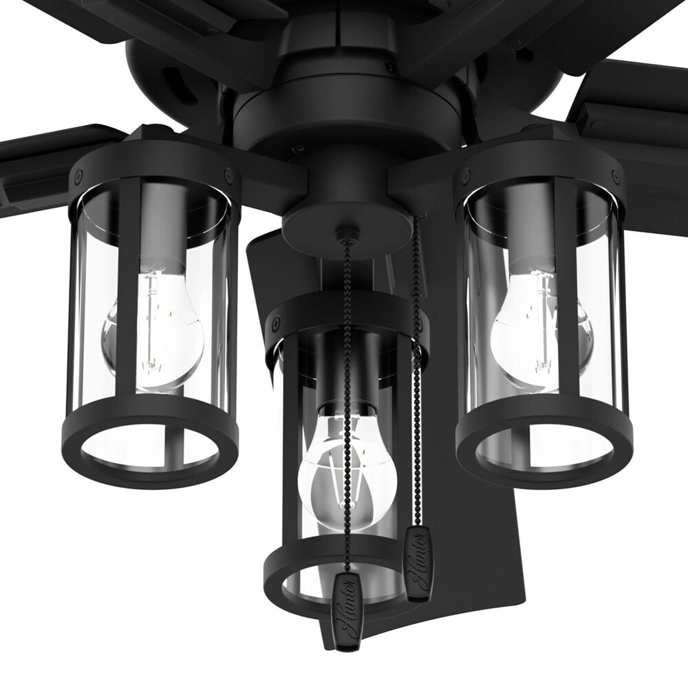 Hunter Lawndale 52&quot; Outdoor Ceiling Fan with LED Lights in Matte Black, , large