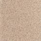 Dixie Home Bella Carpet in Fetch, , large