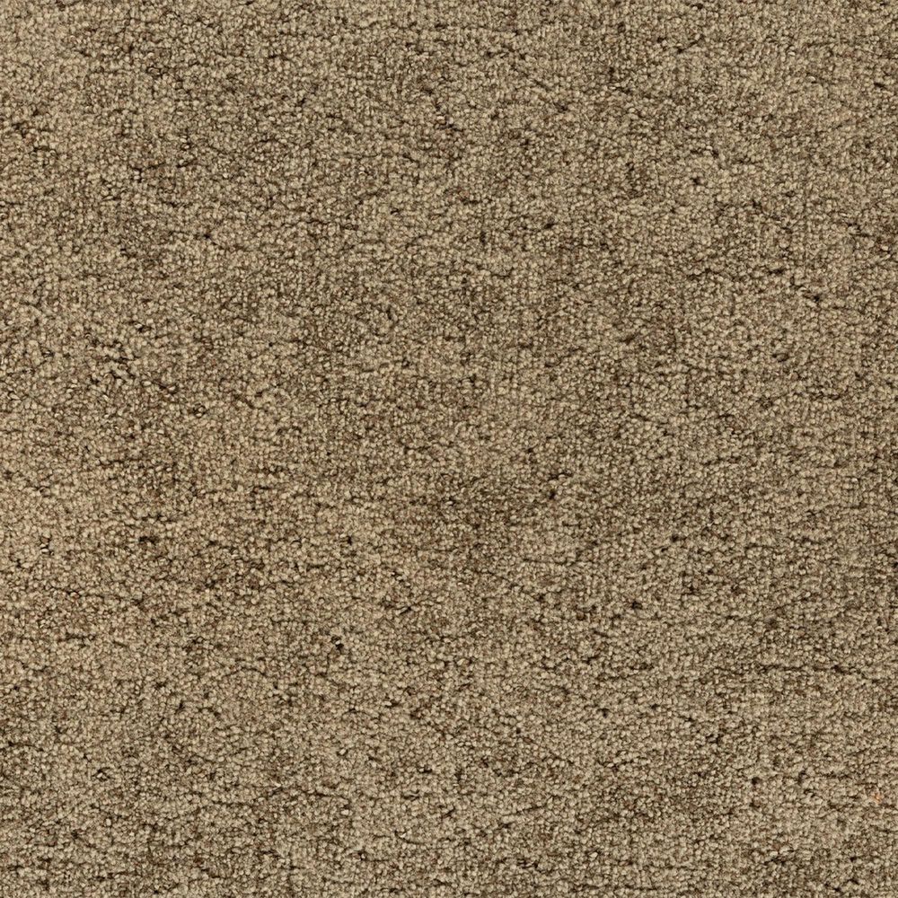 Godfrey-Hirst Inspiring Selection Carpet in Crushed Shells, , large