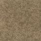 Godfrey-Hirst Inspiring Selection Carpet in Crushed Shells, , large