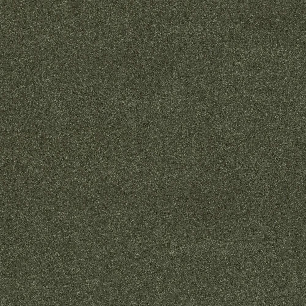 Shaw Easy Spirit I 12&#39; Carpet in Garden View, , large