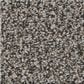 Shaw Renewed Energy II Carpet in Shadow, , large