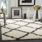 Safavieh Dallas Shag SGD257H-4 4" x 6" Ivory/Dark Grey Area Rug, , large
