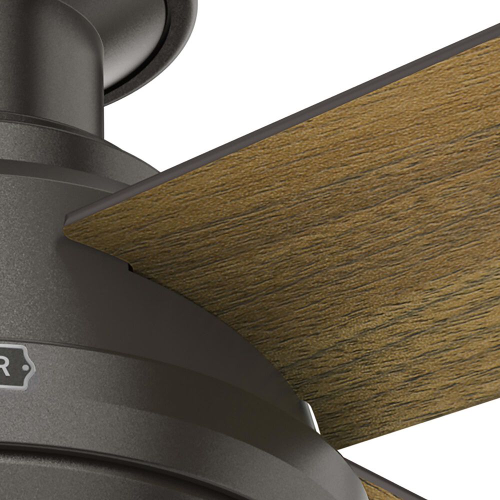 Hunter Dempsey Low Profile 52&quot; Ceiling Fan in Noble Bronze, , large