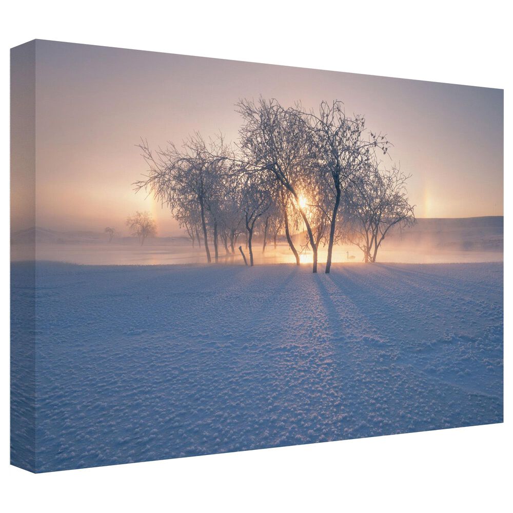 Timberlake Bingo Z 'Swan Lake' 30" x 47" Canvas Art, , large