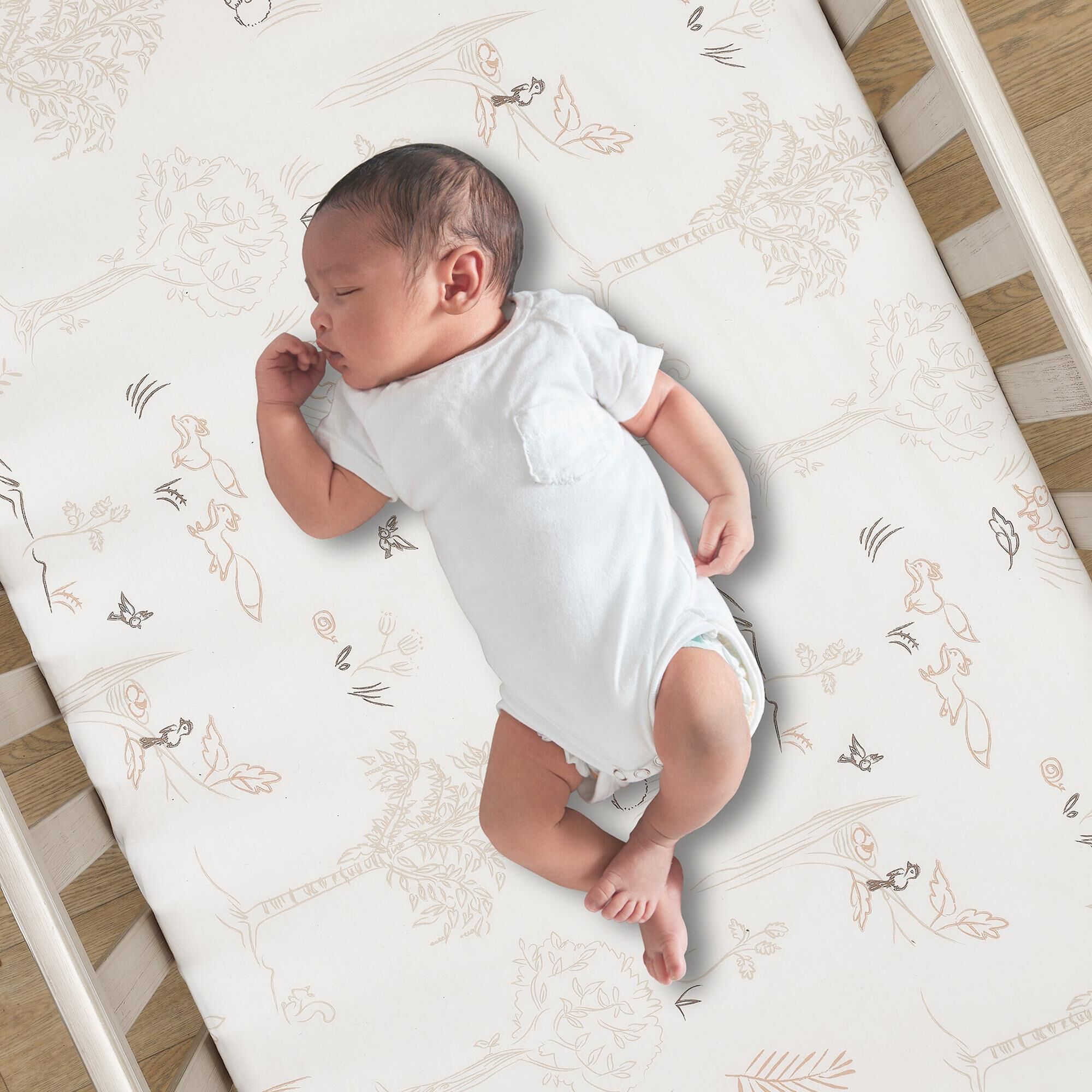Lambs and Ivy Treetop Fox 3 Piece Crib Bedding Set in Rust Black and White NFM