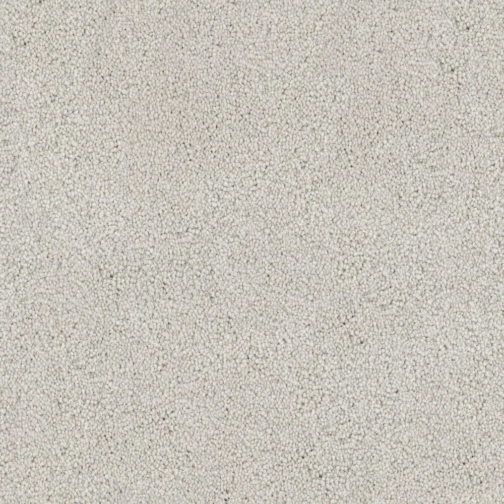 Fabrica Tribute Carpet in Canberra, , large