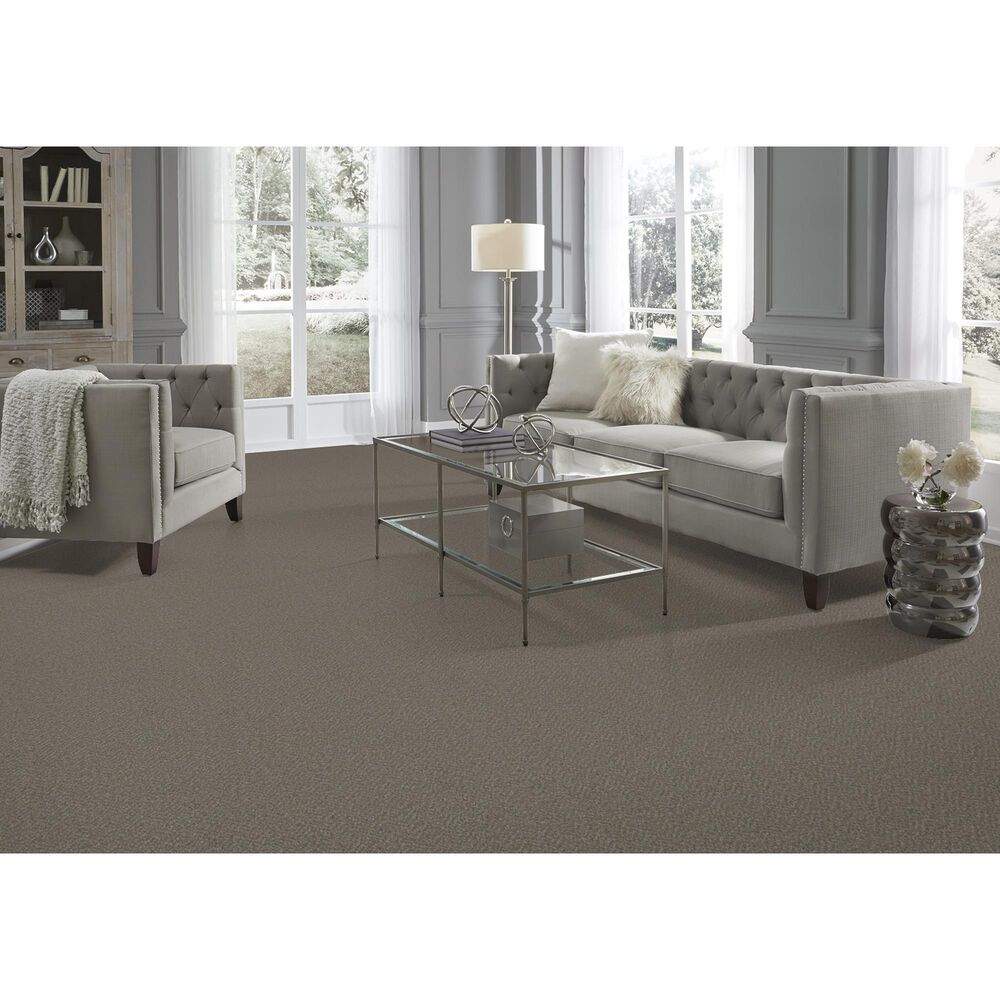 Phenix Milo Carpet in Villa, , large