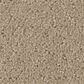 Shaw Simply Classic Carpet in Sea Shell, , large