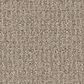 Shaw Sierra Vista Carpet in Park Avenue, , large