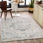 Surya Ankara 7"10" x 10"2" Cream, Ice Blue and Light Gray Area Rug, , large