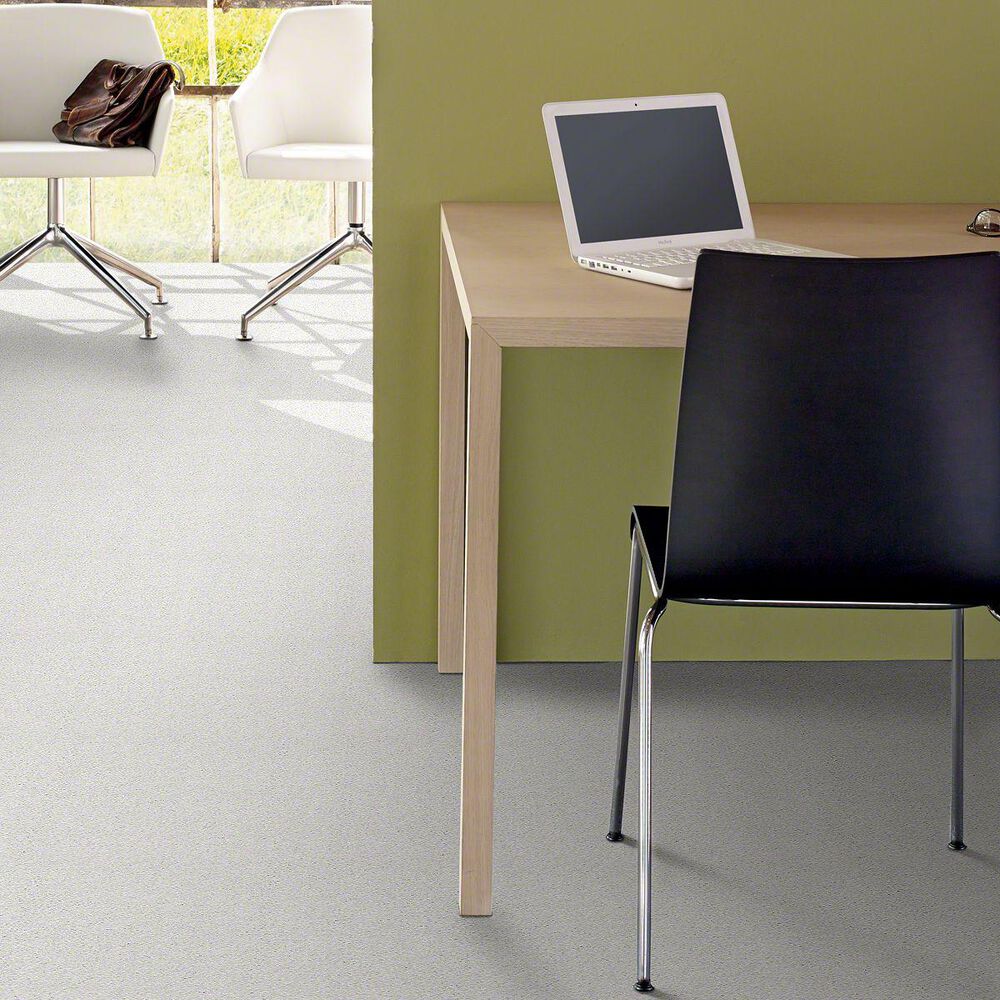 Philadelphia Basic Rules Carpet in Mist, , large