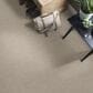 Shaw Simply the Best Momentum II Carpet in Driftwood, , large