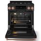 Thor Kitchen Gordon Ramsay 4.55 Cu. Ft. 30" Professional Liquid Propane Range with Rose Gold Handle Kit in Black, , large