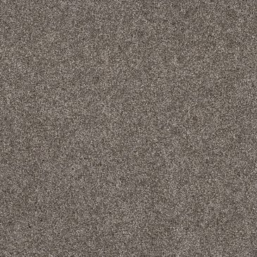 Shaw Yes You Can II Carpet in Ashes, , large