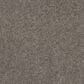 Shaw Yes You Can II Carpet in Ashes, , large