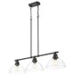 Golden Lighting Duncan 3-Light Pendant with Clear Shade in Matte Black, , large