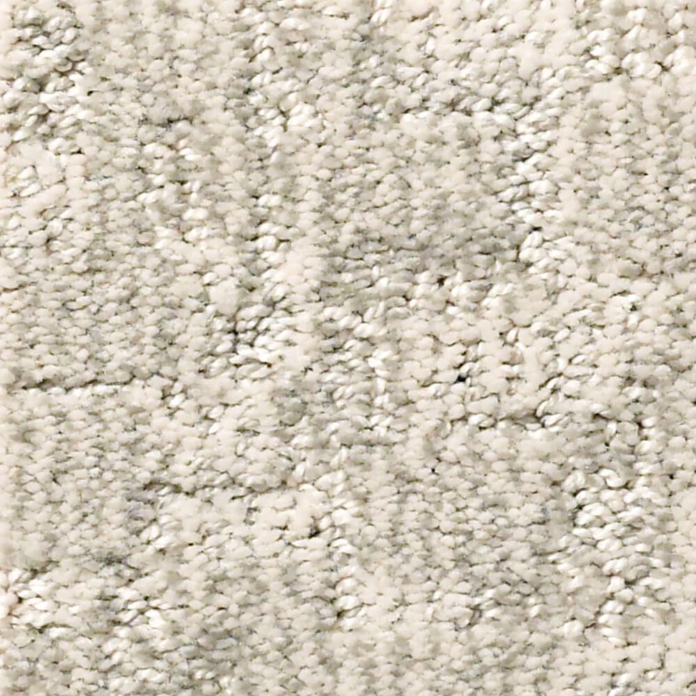 Anderson Tuftex Paw-Tay Carpet in Bennington, , large