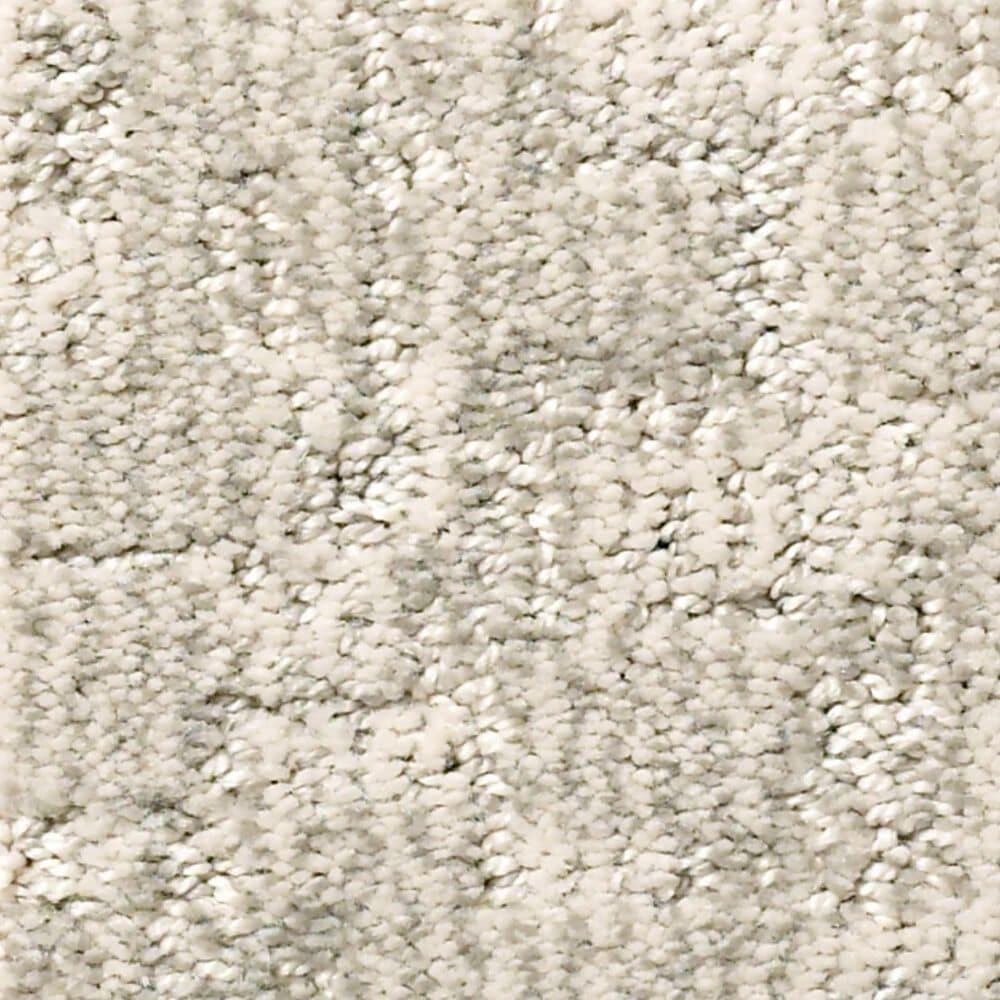 Anderson Tuftex Paw-Tay Carpet in Bennington, , large