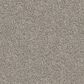 Dixie Home Trapper Carpet in Chow Chow, , large