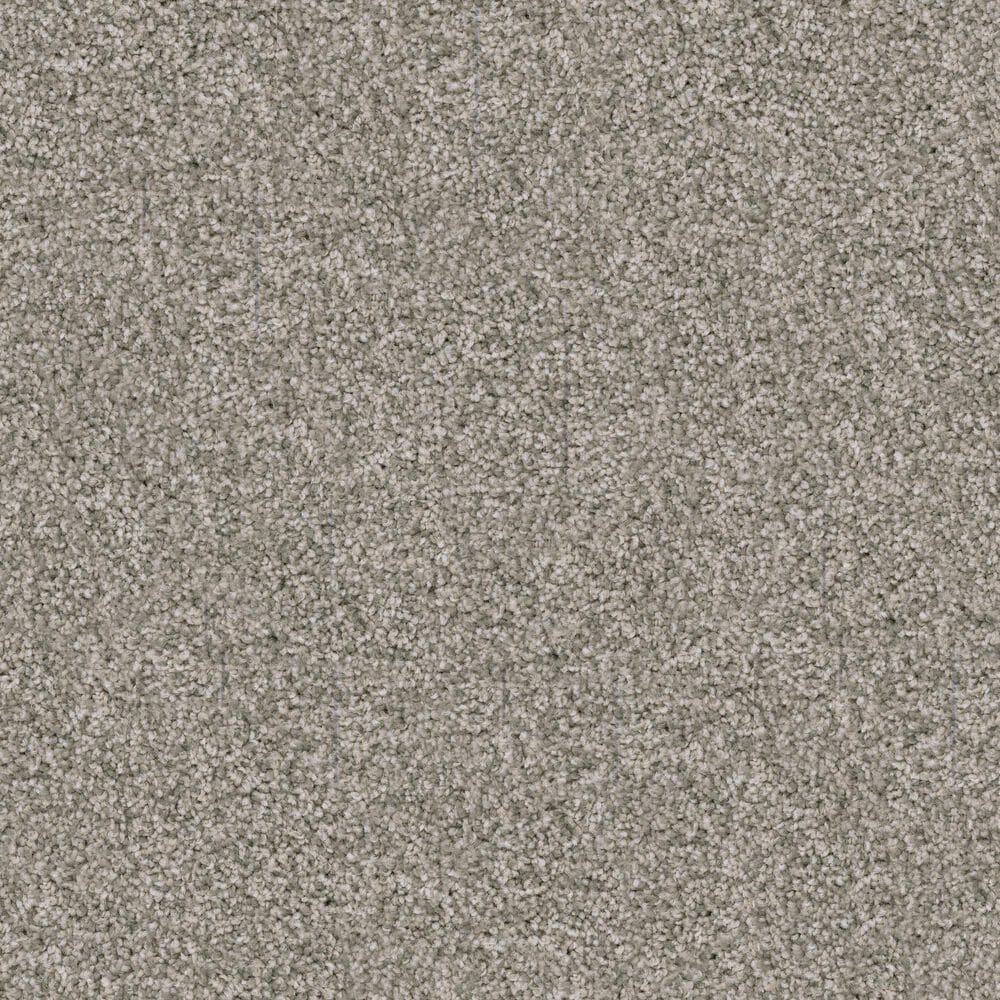 Dixie Home Trapper Carpet in Chow Chow, , large