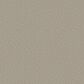 Shaw Clever Choice Carpet in Sandstone, , large