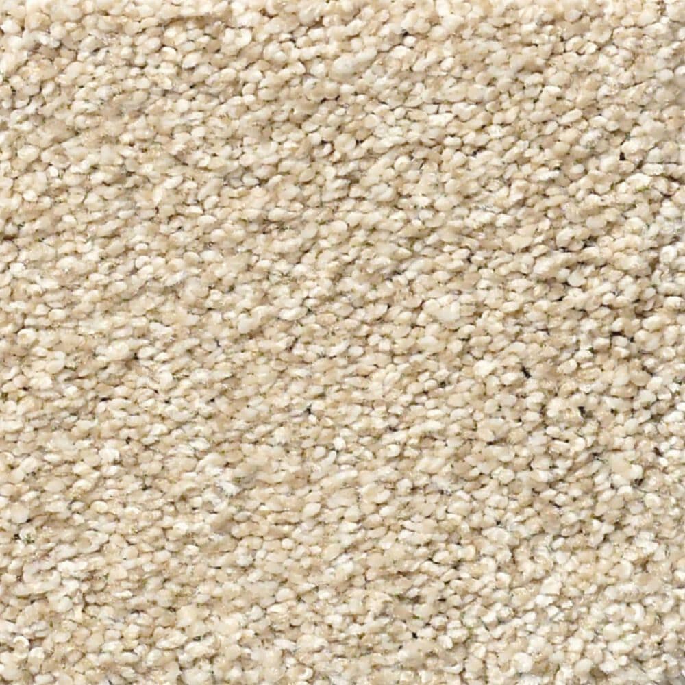 Shaw Find Your Comfort TT Blue Carpet in Sun Kissed, , large