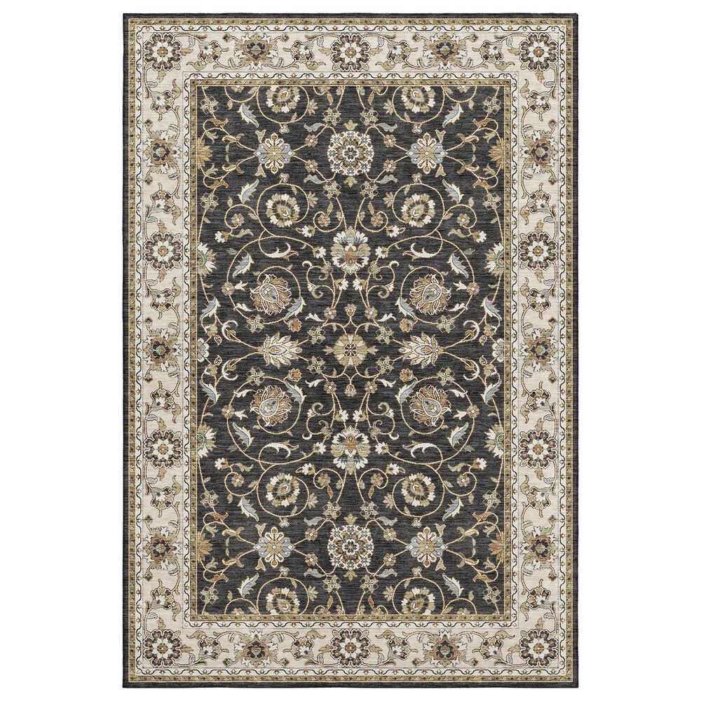 Dalyn Rug Company Hatay HY1 9" x 12" Black Area Rug, , large