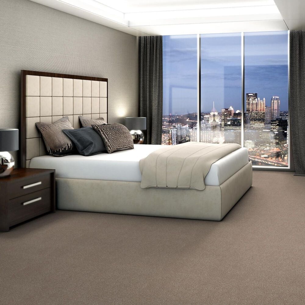 Shaw Trusplendor Carpet in Cottage, , large