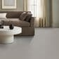 Anderson Tuftex Wyndham Estate Carpet in Platinum, , large