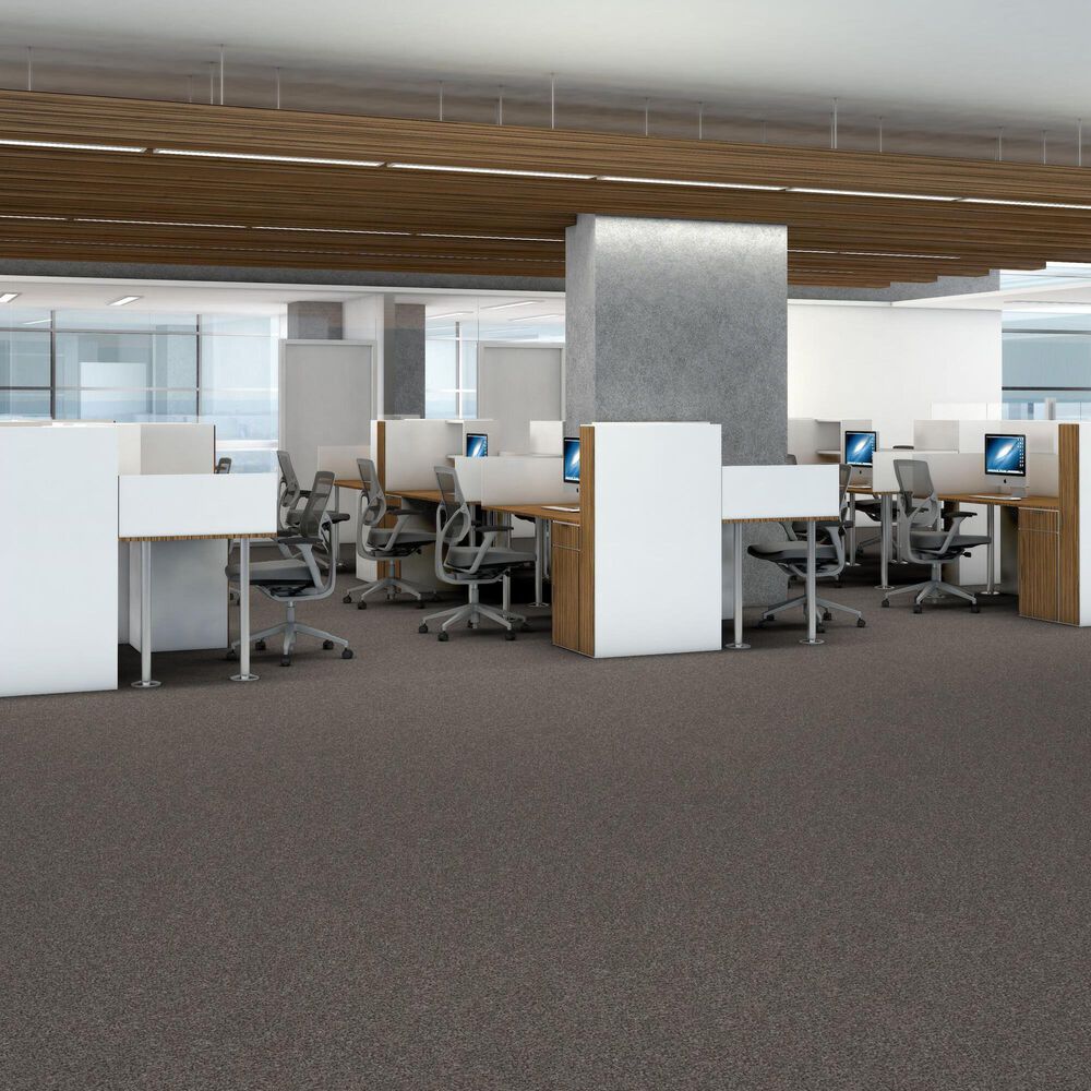 Shaw Yes You Can III Carpet in Marble, , large