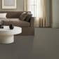 Anderson Tuftex Enchanting Carpet in Highrise, , large