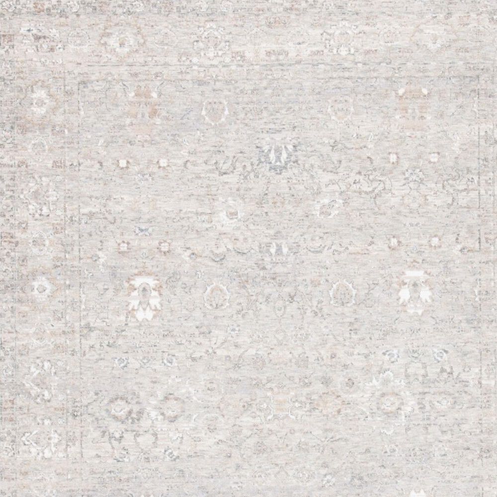 Safavieh Webster WBS322G 4&#39; x 6&#39; Grey and Beige Area Rug, , large