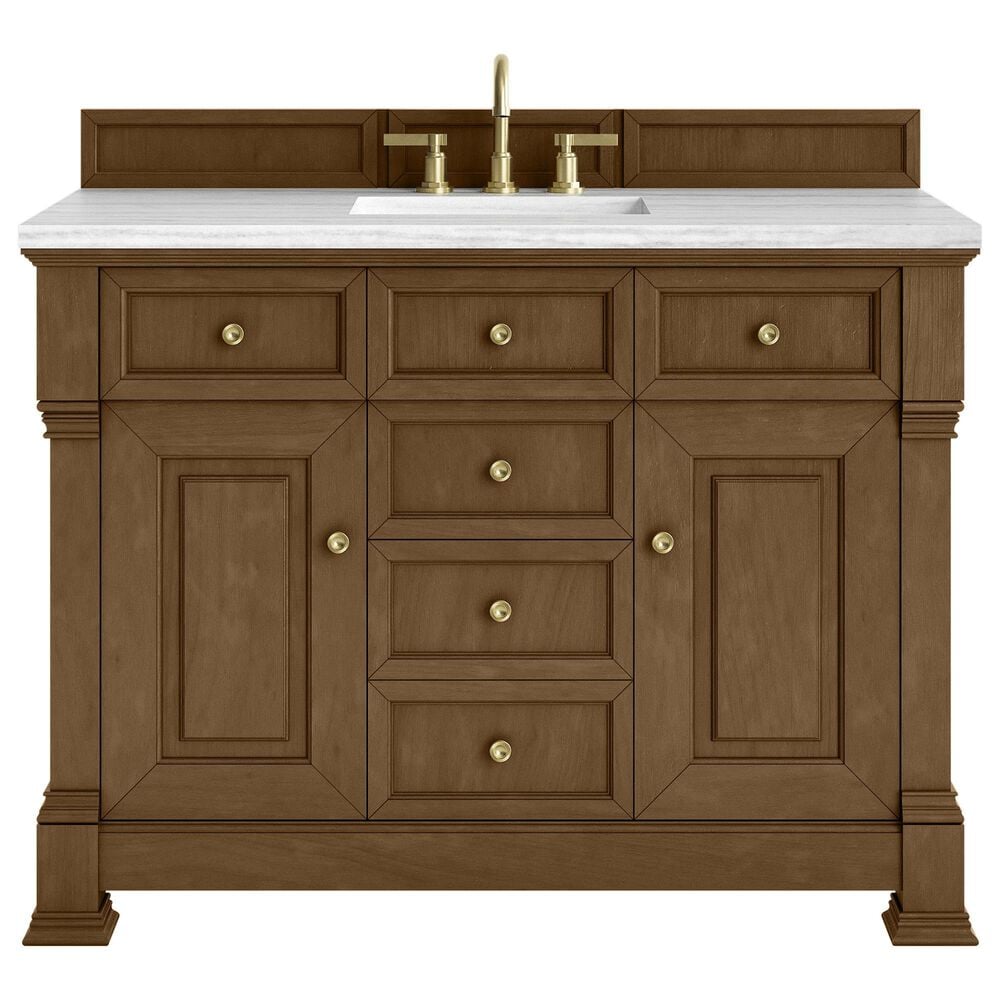 James Martin Vanities Brookfield 48&quot; Single Bathroom Vanity in Honey Oak with 3 cm Arctic Fall Solid Surface Top and Rectangular Sink, , large