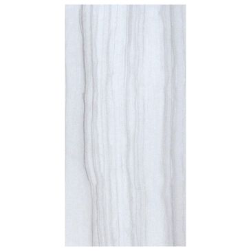 Emser Chronicle F02CHROER1224V2 Era 12" x 24" Porcelain Tile, , large
