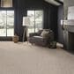 Anderson Tuftex Loom Carpet in Travertine, , large