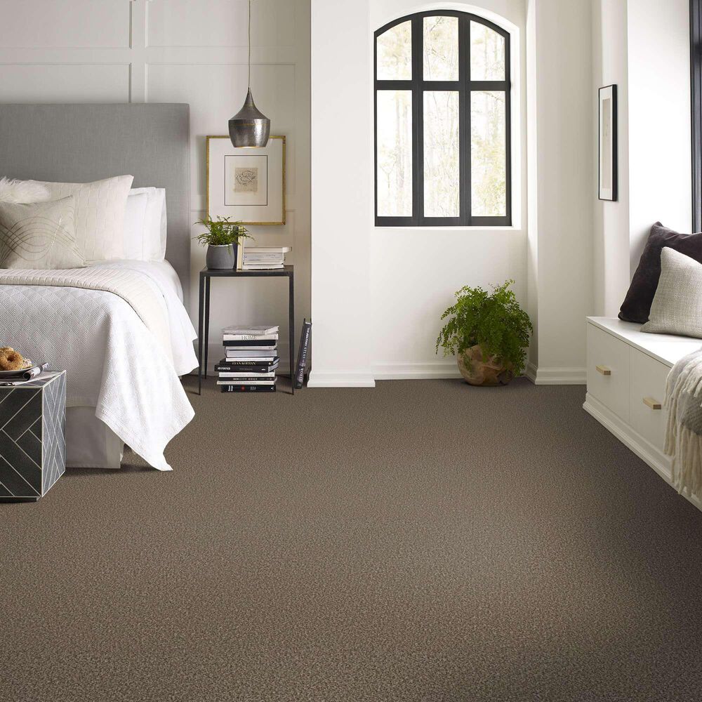 Shaw Renewed Energy I Carpet in Freckles, , large