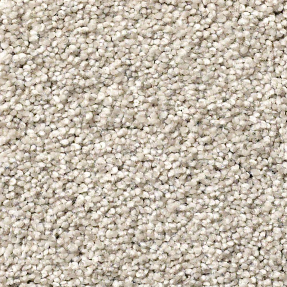 Shaw Find Your Comfort TT II Carpet in Shoreline Haze, , large