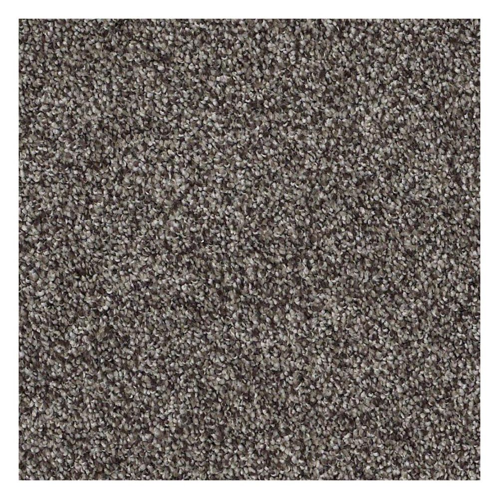 Shaw Detailed Tonal Carpet in Rustic Elegance, , large
