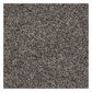 Shaw Detailed Tonal Carpet in Rustic Elegance, , large