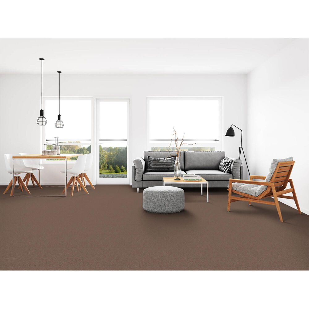 Dixie Home Neverland Carpet in Runyon, , large