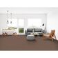 Dixie Home Neverland Carpet in Runyon, , large