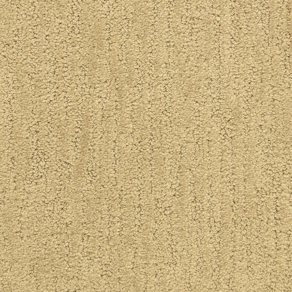 Dixie Home Legacy Carpet in Brass, , large