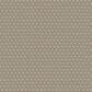 Anderson Tuftex Havencrest Carpet in Gypsum, , large