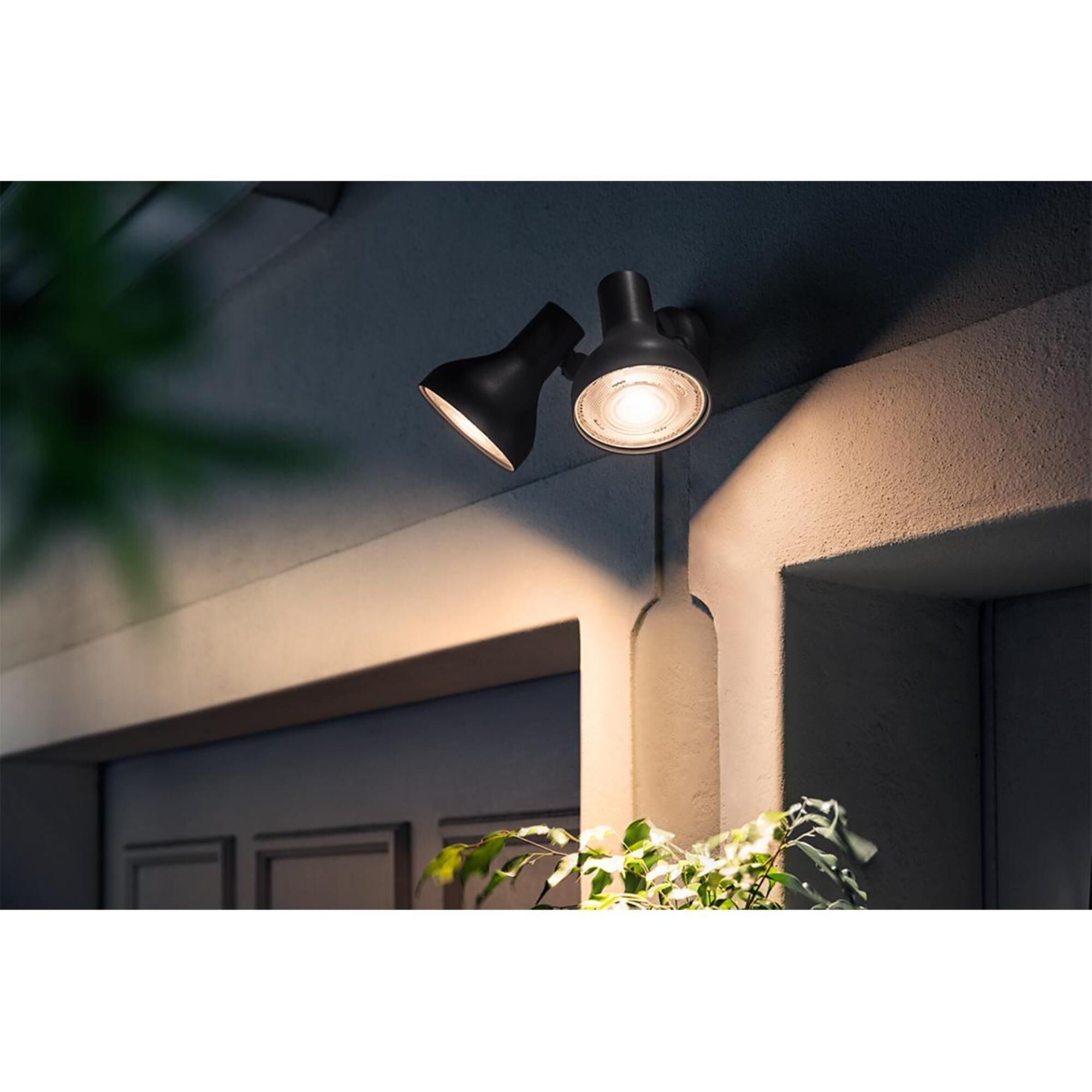 Philips hue online white outdoor par38