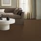 Anderson Tuftex Enduring Charm Carpet in Bronco, , large